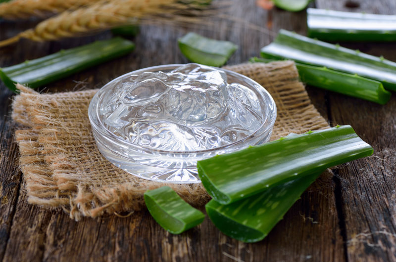 Spa und Wellness in Zingst