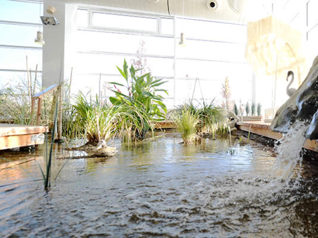 Schwimmbecken mit chlorfreiem Wasser in Zingst